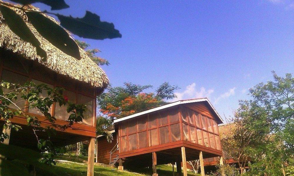 Cahal Pech Village Resort San Ignacio Servicios foto
